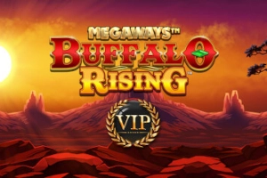 02807 buffalo rising all action megaways