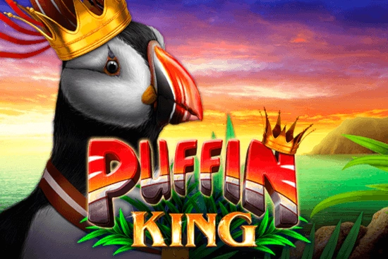 08993 puffin king